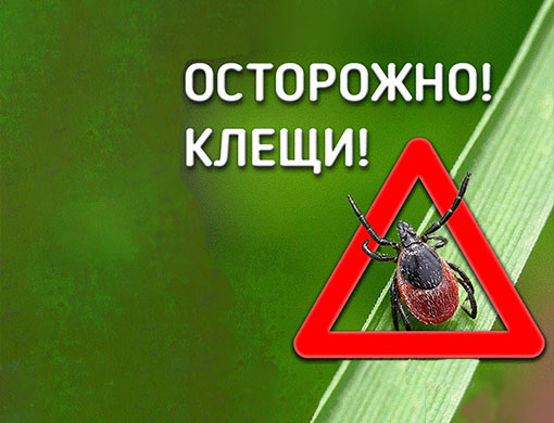 Image intro alt text